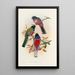 A monograph of the Trogonidae or family of trogons Pl42 - John Gould — framed artwork on a wall
