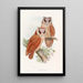 Owl Bay - John Gould — framed artwork on a wall