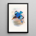 Blue and white kingfisher painting - John Gould — framed artwork on a wall