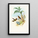 Clytolaema aurescens - John Gould — framed artwork on a wall