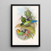 Eurylaime de Dalhousie - John Gould — framed artwork on a wall