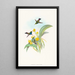 Damophila amabilis - John Gould — framed artwork on a wall