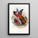 Trogon de Diard - John Gould — framed artwork on a wall