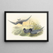 Hydrochelidon nigra - John Gould — framed artwork on a wall