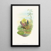 Hylocharis lactea - John Gould — framed artwork on a wall