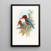 Indian Kingfisher Painting - John Gould — framed artwork on a wall