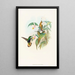 Lafresnaya flavicaudata - John Gould — framed artwork on a wall