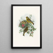 European Verdier Painting - John Gould — framed artwork on a wall