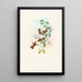 Lophornas reginae - John Gould — framed artwork on a wall
