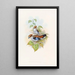 Eurylaime luné - John Gould — framed artwork on a wall