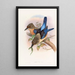Kingfisher painting mantled - John Gould — framed artwork on a wall