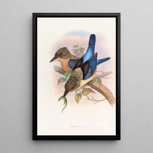 Kingfisher painting mantled - John Gould — framed artwork on a wall