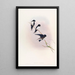 Hirondelle de Népal - John Gould — framed artwork on a wall