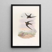 Palm Tree Roof Martinet - John Gould — framed artwork on a wall