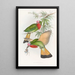 Nyctiornis à gorge rouge - John Gould — framed artwork on a wall