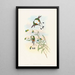 Peruvian Spathura Painting - John Gould — framed artwork on a wall