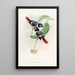 Broadbill de Steere - John Gould — framed artwork on a wall