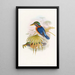 Sumatra Kingfisher Painting - John Gould — framed artwork on a wall
