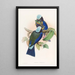 Rollier de Temminck - John Gould — framed artwork on a wall