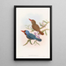 Martin-pêcheur de Tenasserim - John Gould — framed artwork on a wall