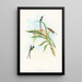 Tharmastura enicura - John Gould — framed artwork on a wall