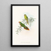 the Birds of New Guinea and adjacent Papuan Islands Pl17 - John Gould — framed artwork on a wall
