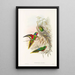 Les Oiseaux de Nouvelle-Guinée et des îles Papoues adjacentes Pl20 - John Gould — framed artwork on a wall