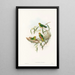 Les Oiseaux de Nouvelle-Guinée et des îles Papoues adjacentes Pl21 - John Gould — framed artwork on a wall
