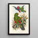 the Birds of New Guinea and Adjacent Papuan Islands Pl31 - John Gould — framed artwork on a wall