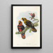 the Birds of New Guinea and Adjacent Papuan Islands Pl34 - John Gould — framed artwork on a wall