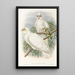 Les oiseaux de Nouvelle-Guinée et des îles Papoues adjacentes Pl46 - John Gould — framed artwork on a wall