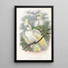 Les oiseaux de Nouvelle-Guinée et des îles Papoues adjacentes Pl47 - John Gould — framed artwork on a wall
