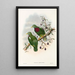 The Birds of New Guinea and Adjacent Papuan Islands Pl54 - John Gould — framed artwork on a wall