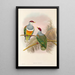 The Birds of New Guinea and Adjacent Papuan Islands Pl55 - John Gould — framed artwork on a wall
