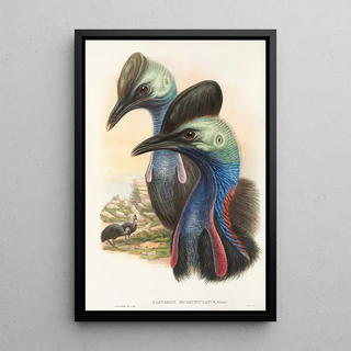 Les oiseaux de Nouvelle-Guinée et des îles Papoues adjacentes Pl73 - John Gould — framed artwork on a wall