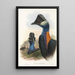 Les oiseaux de Nouvelle-Guinée et des îles Papoues adjacentes Pl75 - John Gould — framed artwork on a wall