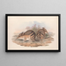 Les Mammifères d'Australie Pl008 - John Gould — framed artwork on a wall