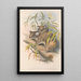 Les mammifères d'Australie Pl014 - John Gould — framed artwork on a wall