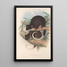 Les mammifères d'Australie Pl019 - John Gould — framed artwork on a wall