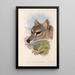The mammals of Australia Pl031 - John Gould — framed artwork on a wall