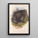 The mammals of Australia Pl033 - John Gould — framed artwork on a wall