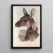 Les mammifères d'Australie Pl039 - John Gould — framed artwork on a wall