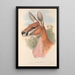 Les mammifères d'Australie Pl042 - John Gould — framed artwork on a wall