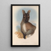 The Mammals of Australia Pl052 - John Gould — framed artwork on a wall