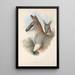 The Mammals of Australia Pl054 - John Gould — framed artwork on a wall