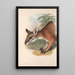 Les mammifères d'Australie Pl062 - John Gould — framed artwork on a wall