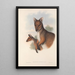 Les mammifères d'Australie Pl069 - John Gould — framed artwork on a wall