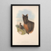 The mammals of Australia Pl071 - John Gould — framed artwork on a wall