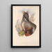 Les mammifères d'Australie Pl075 - John Gould — framed artwork on a wall
