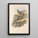 The mammals of Australia Pl078 - John Gould — framed artwork on a wall